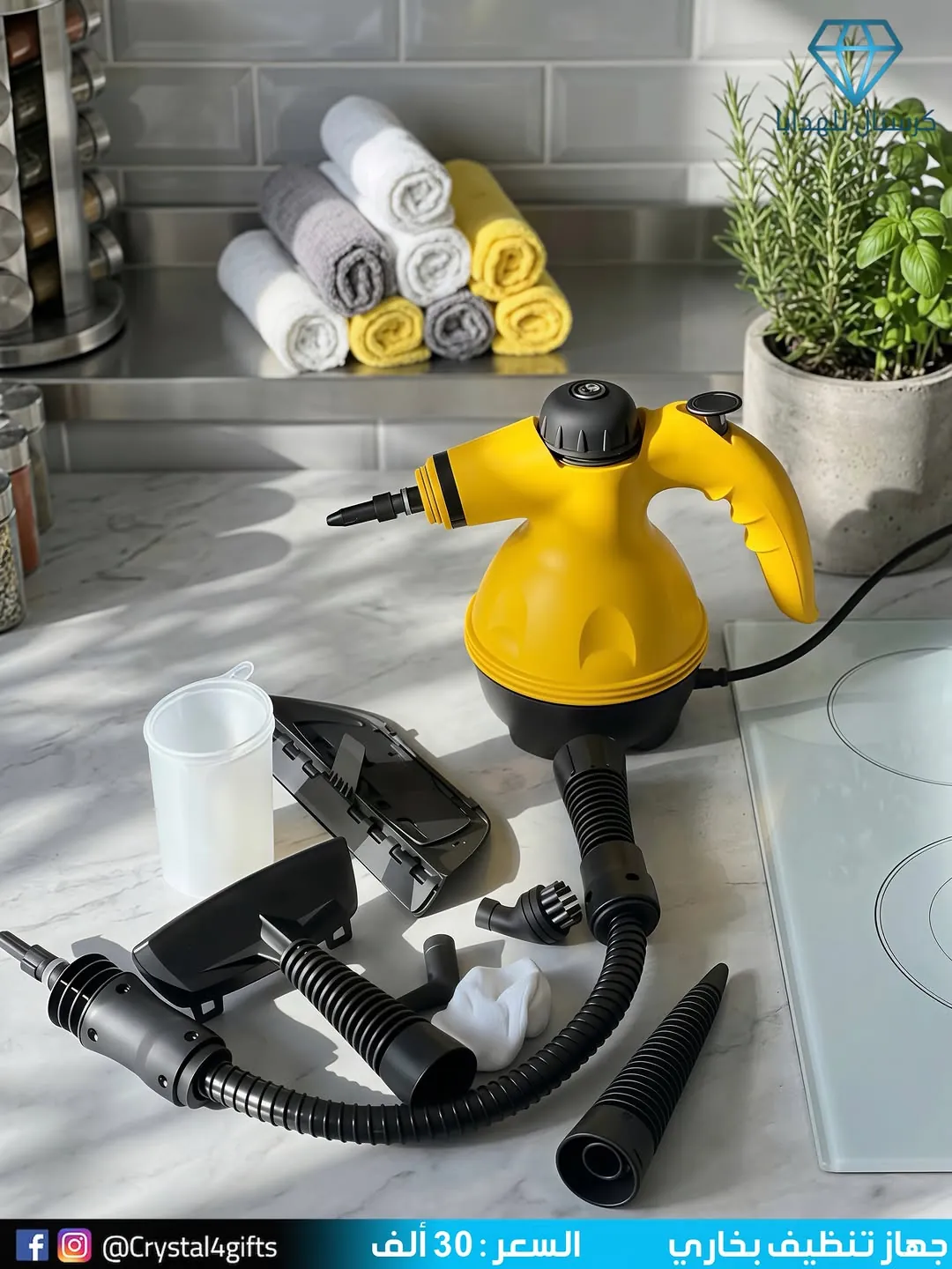 Steam cleaner