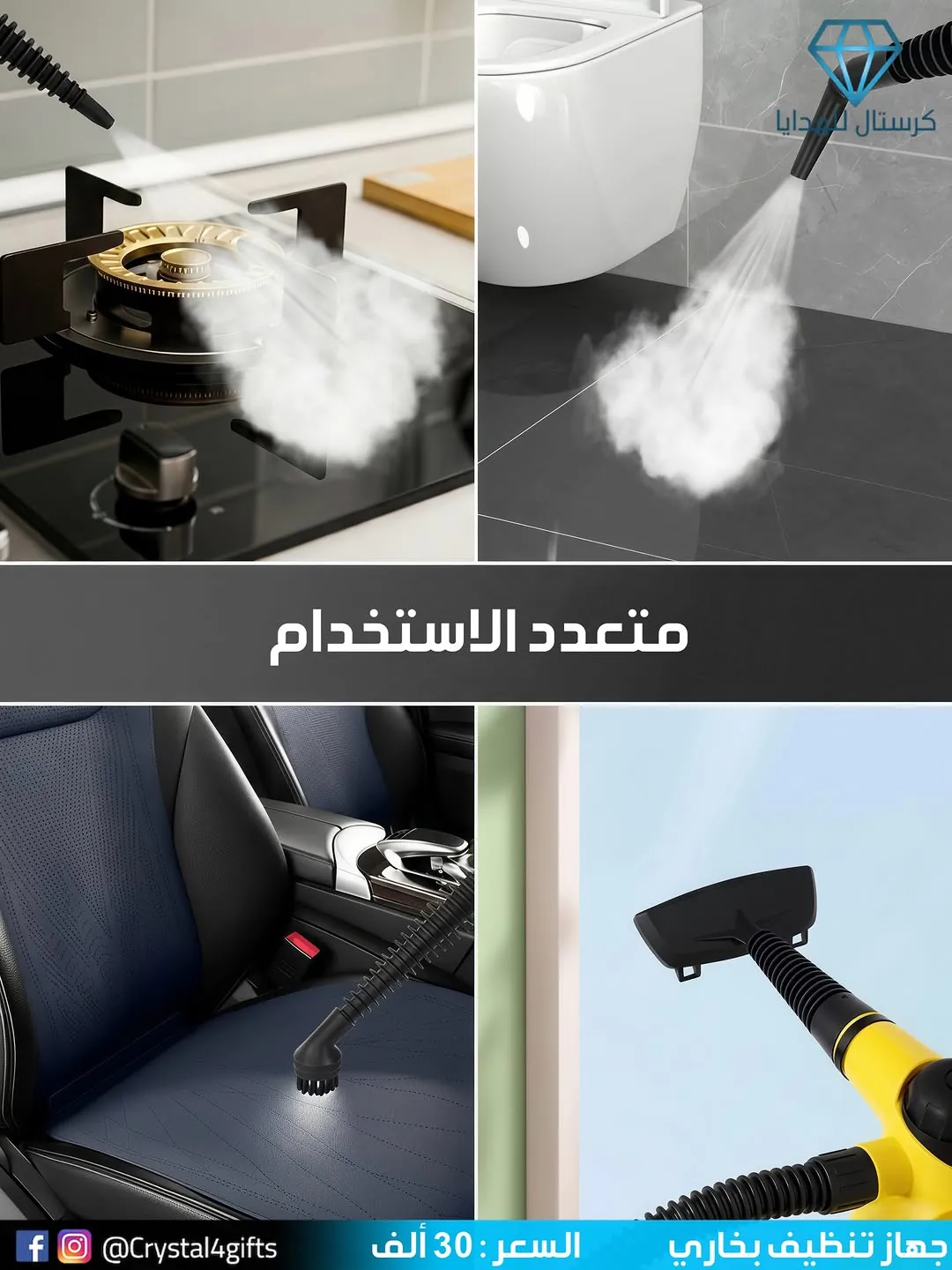 Steam cleaner