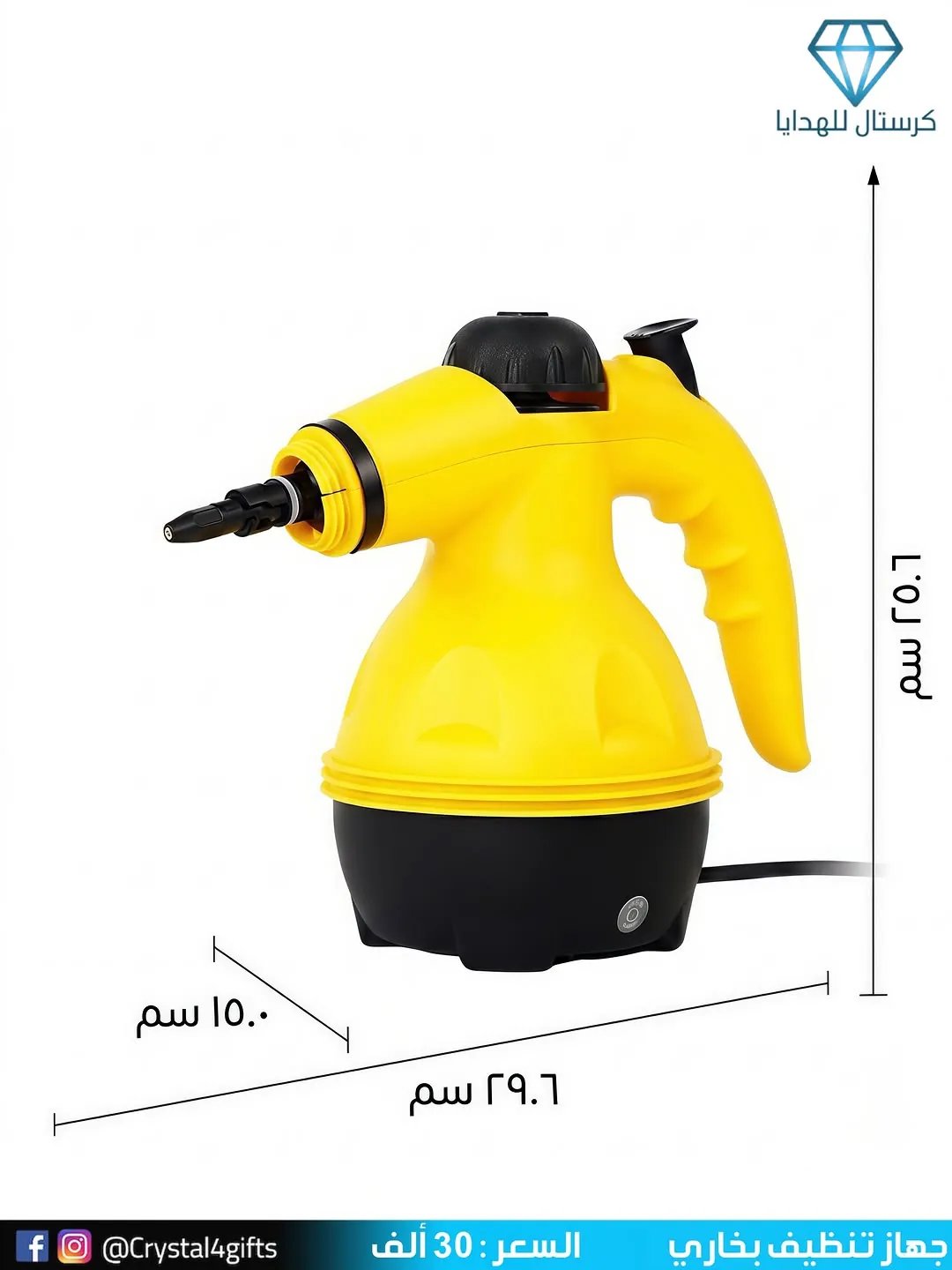 Steam cleaner