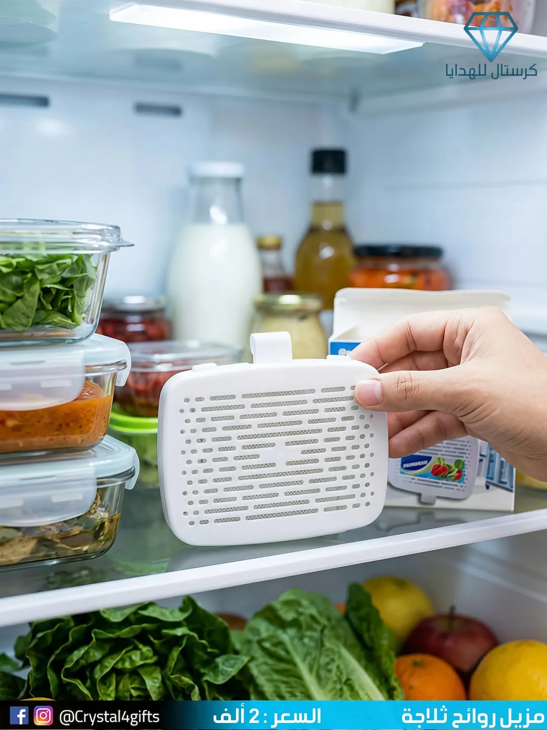 Refrigerator Deodorizer