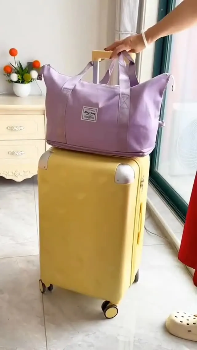 Handbag
