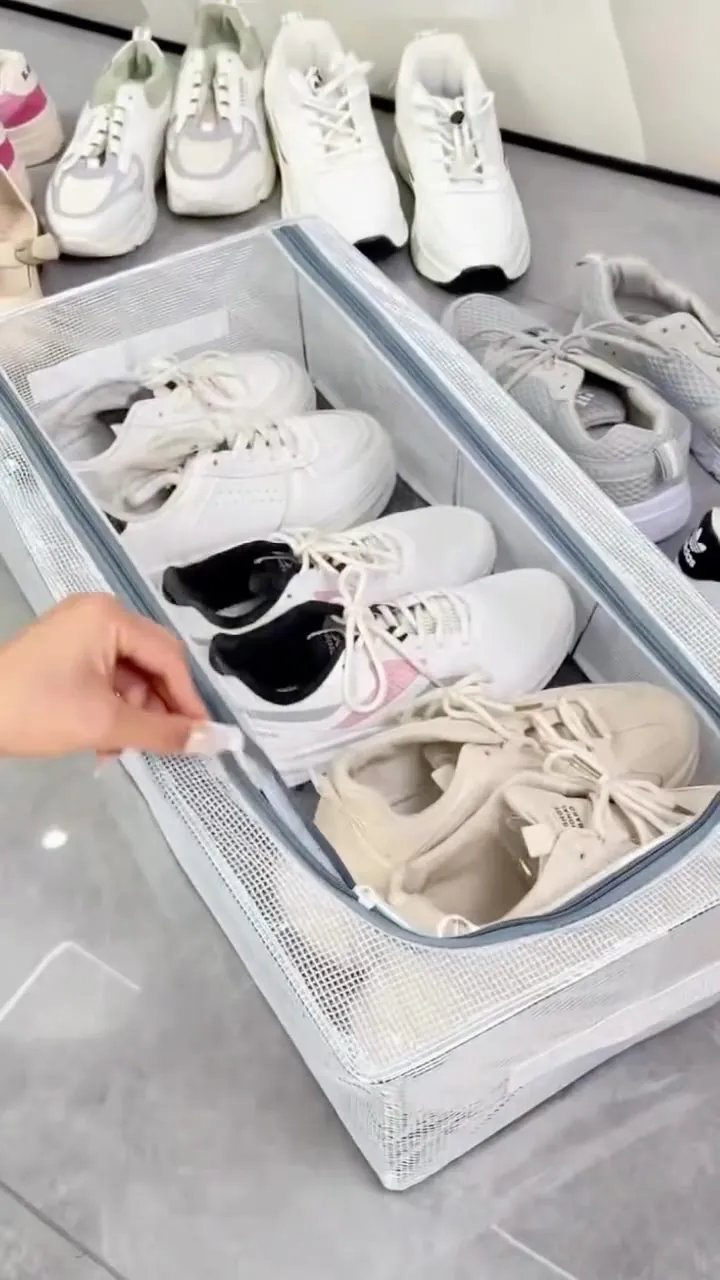 Transparent Under-Bed Organizer