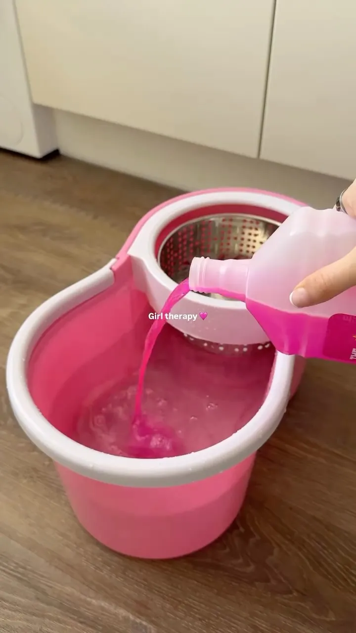 Mop with Round Bucket