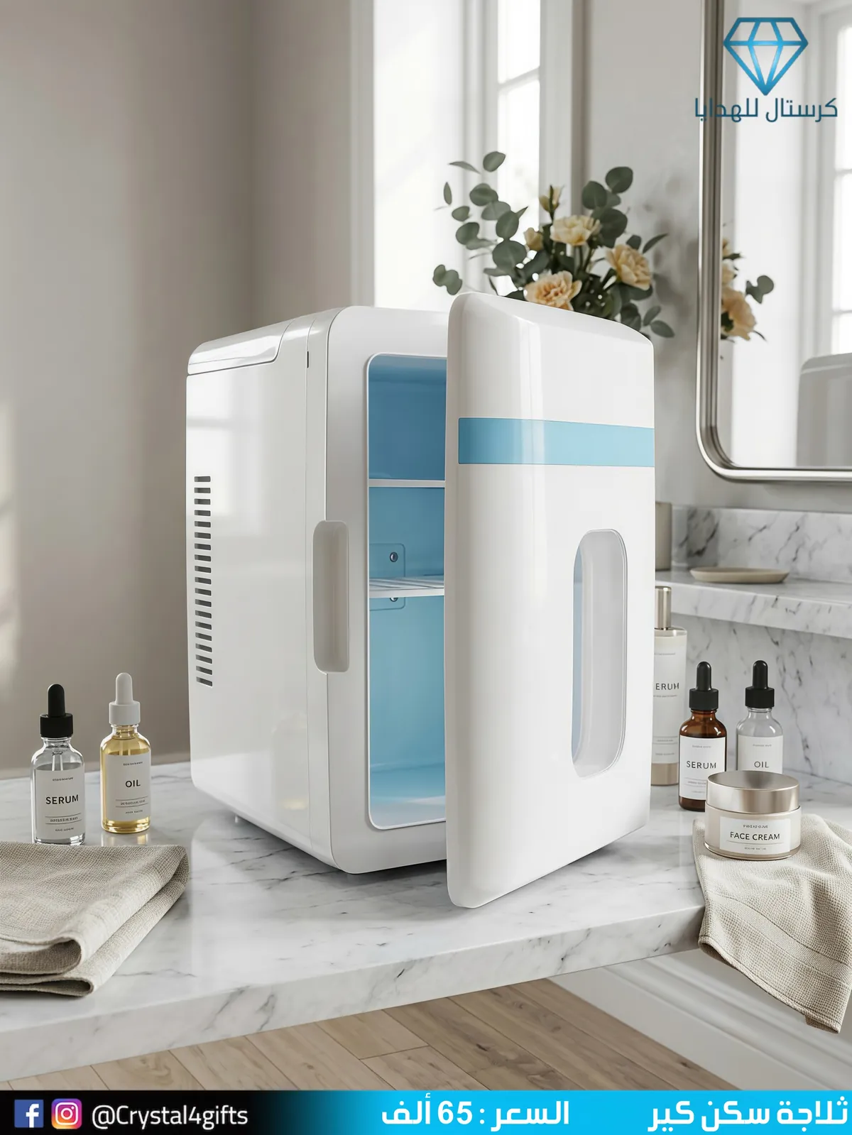 Skin Care Fridge