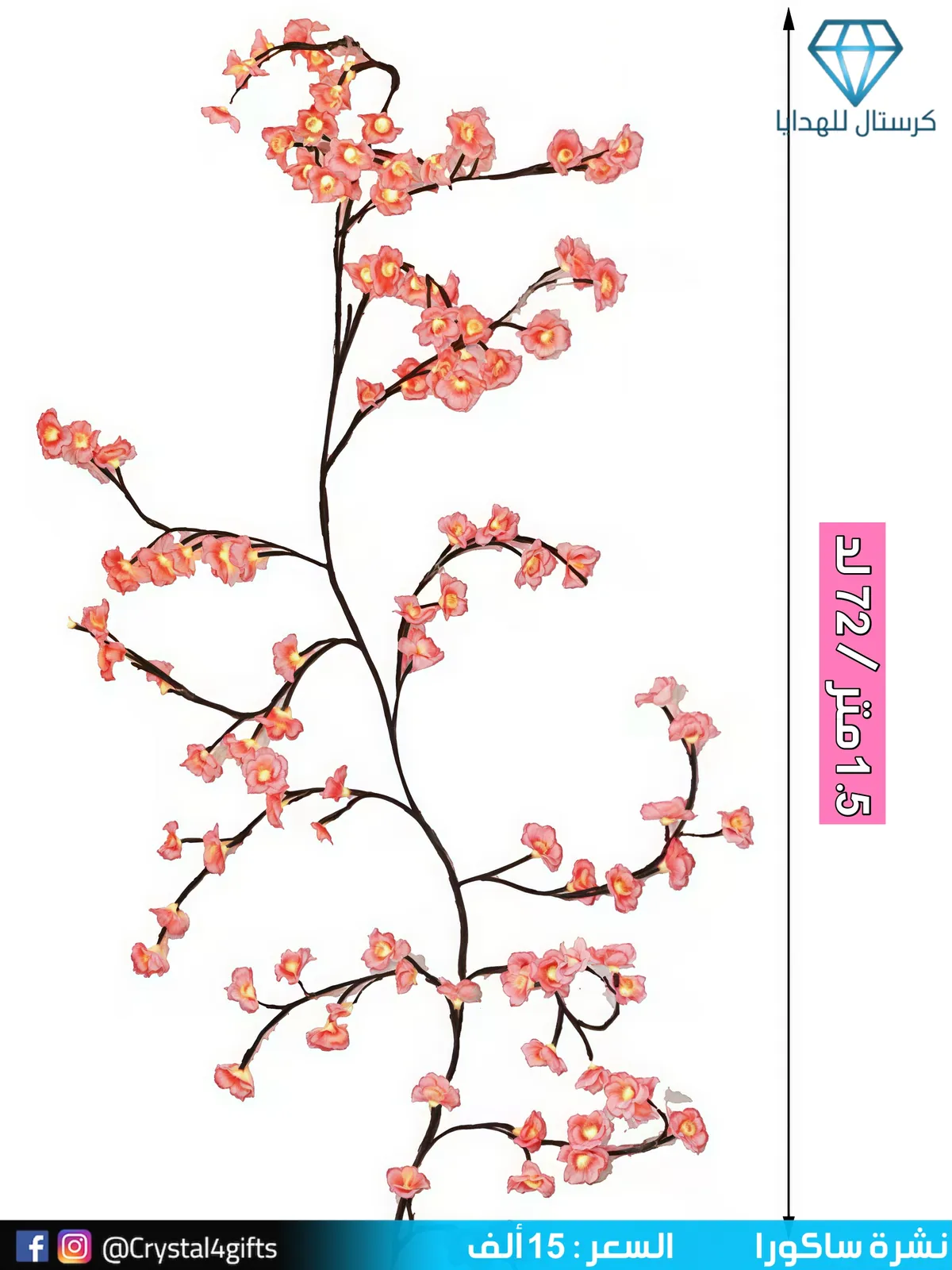 Sakura Bulletin/Stationery