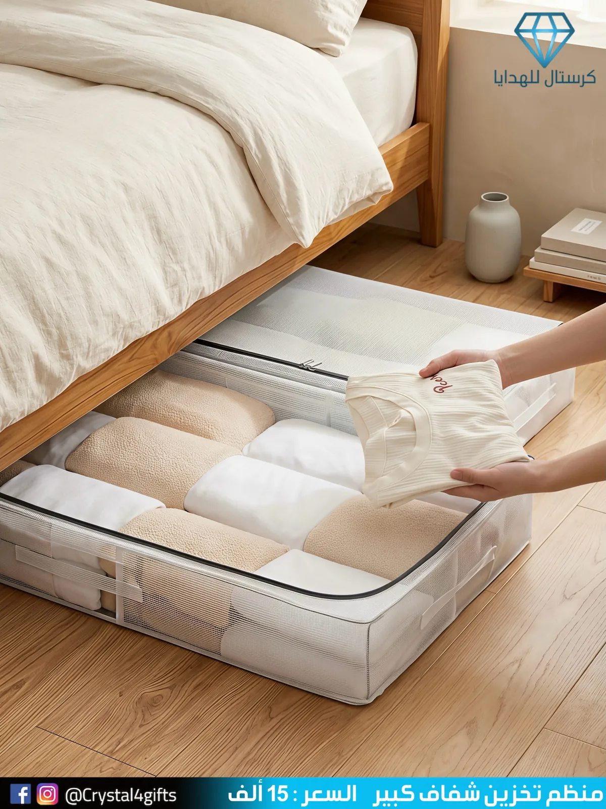 Large Transparent Storage Organizer
