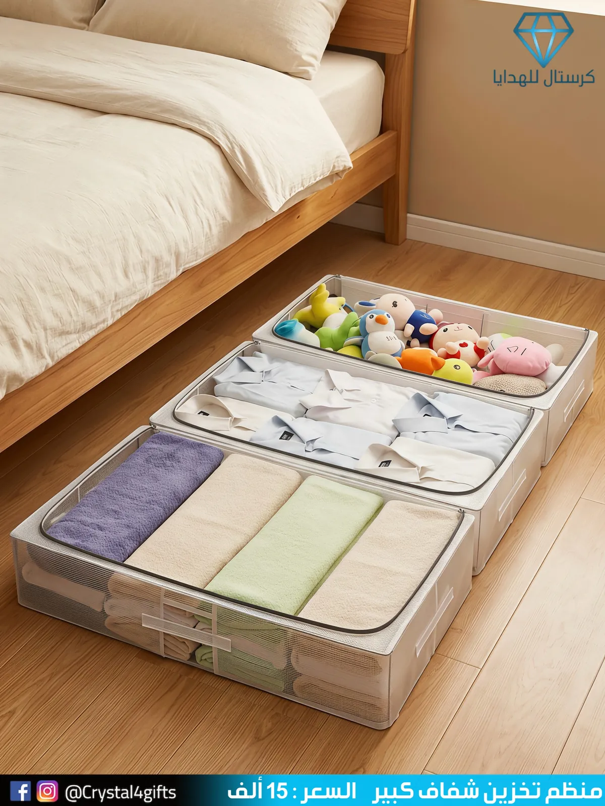 Large Transparent Storage Organizer