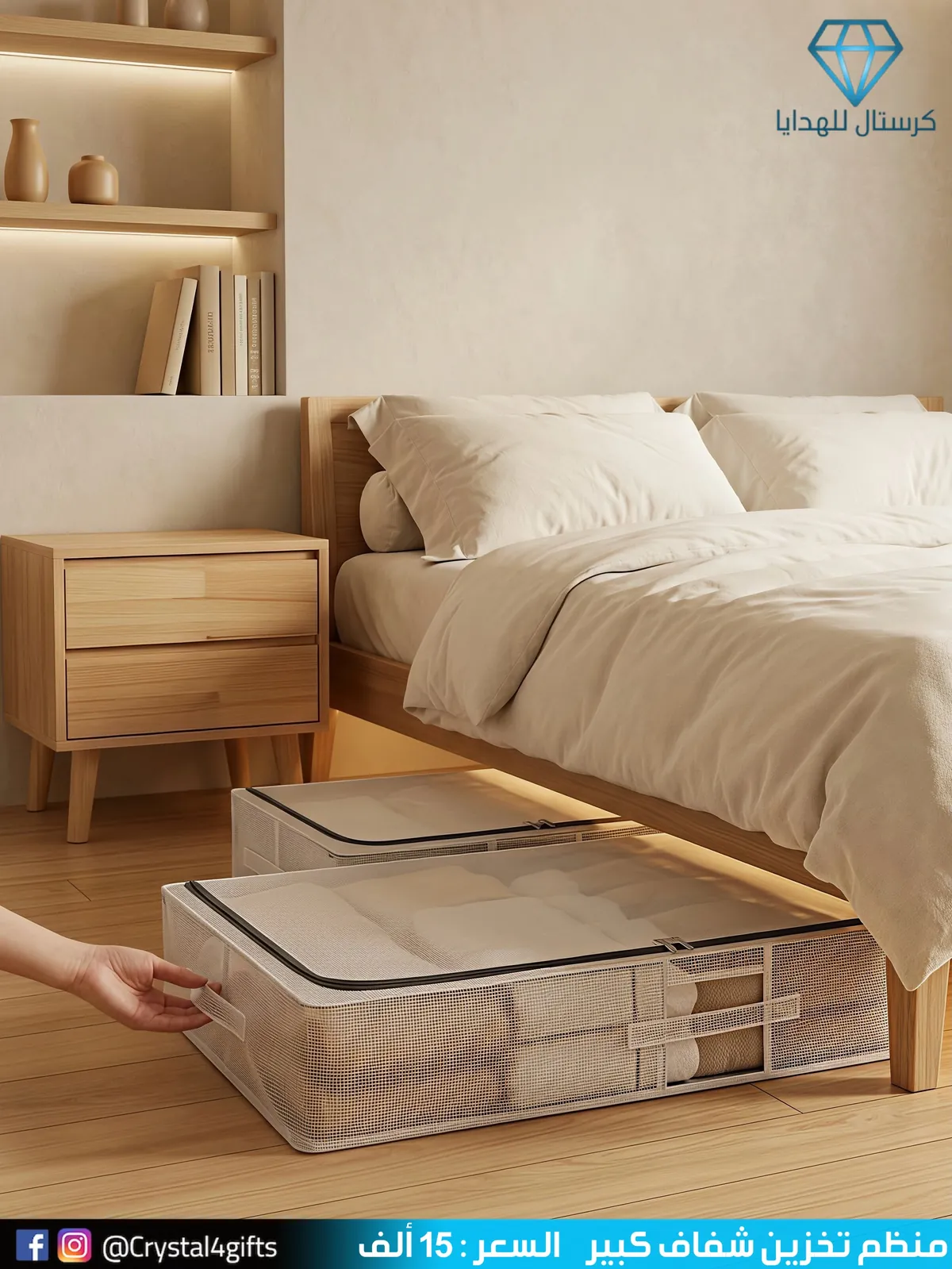 Large Transparent Storage Organizer