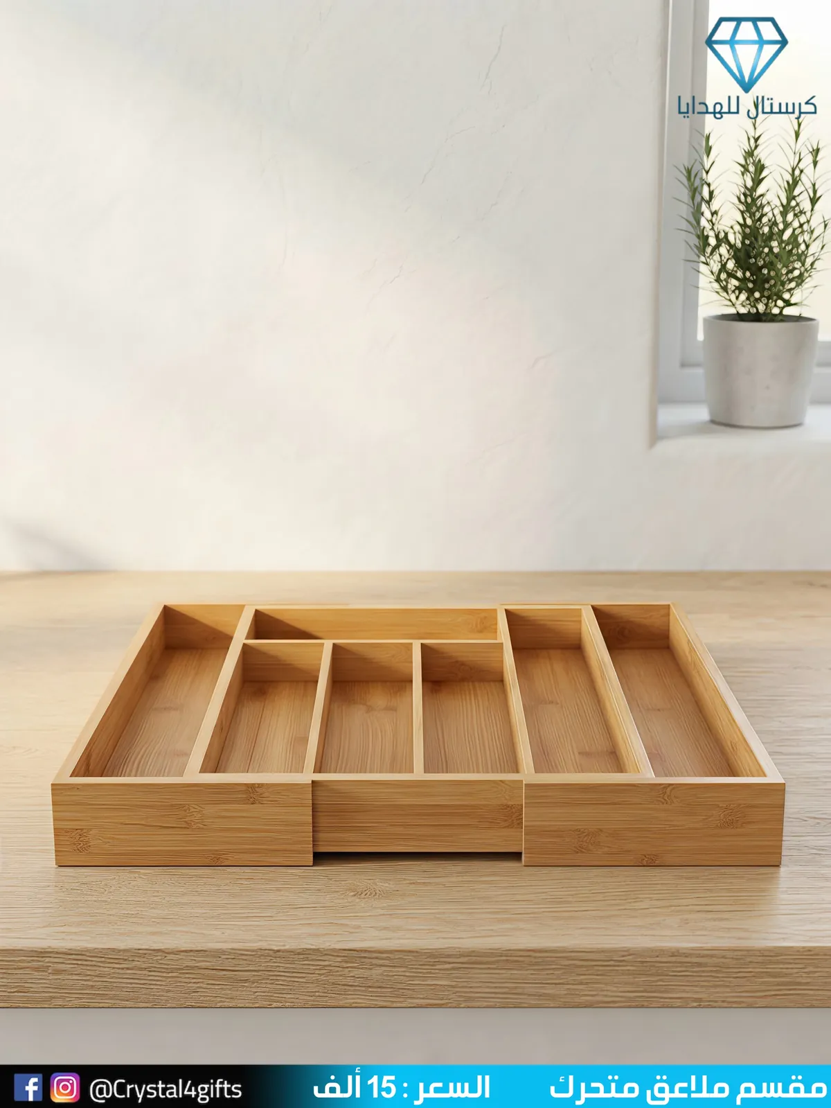 Movable Spoon Divider