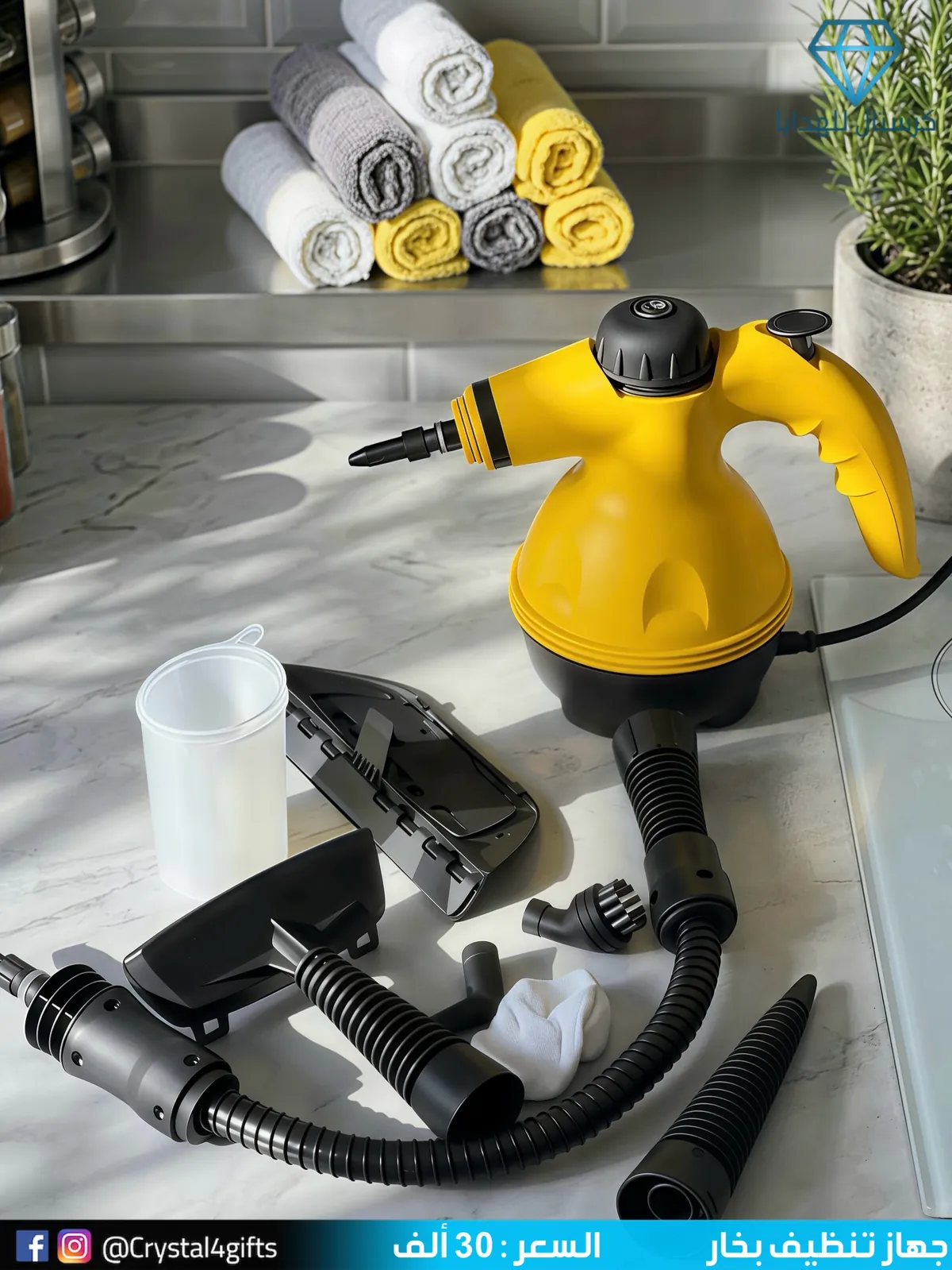 Steam Cleaning Device