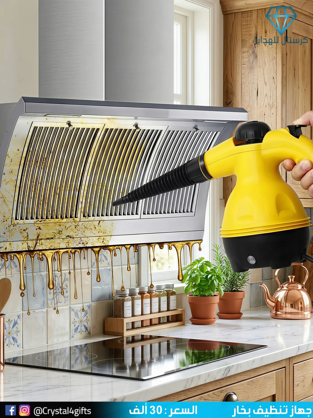 Steam Cleaning Device