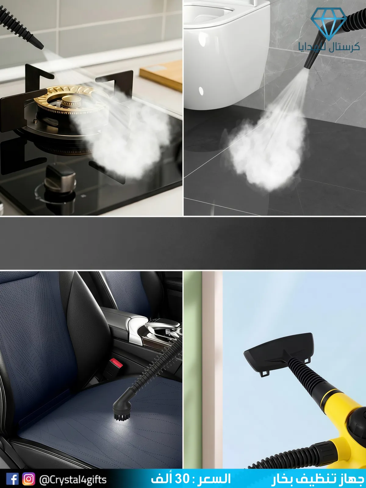 Steam Cleaning Device