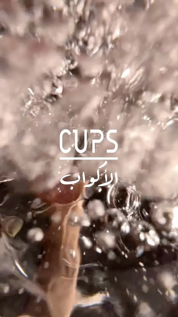 Ceramic and Porcelain Cups