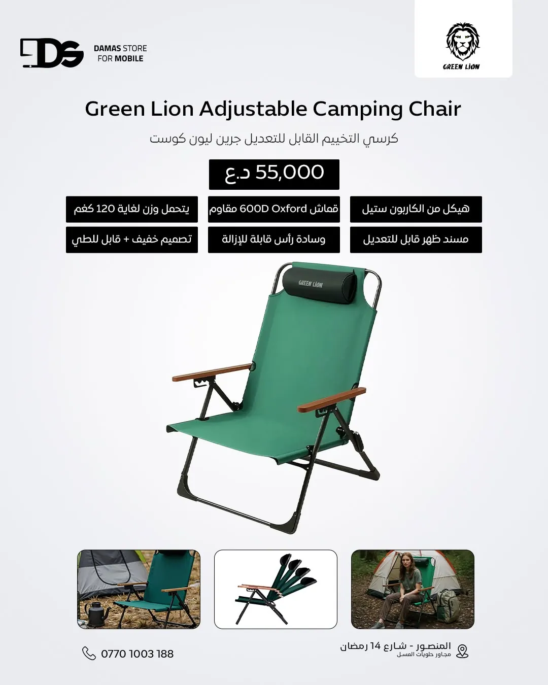 Green Lion Camping Chairs