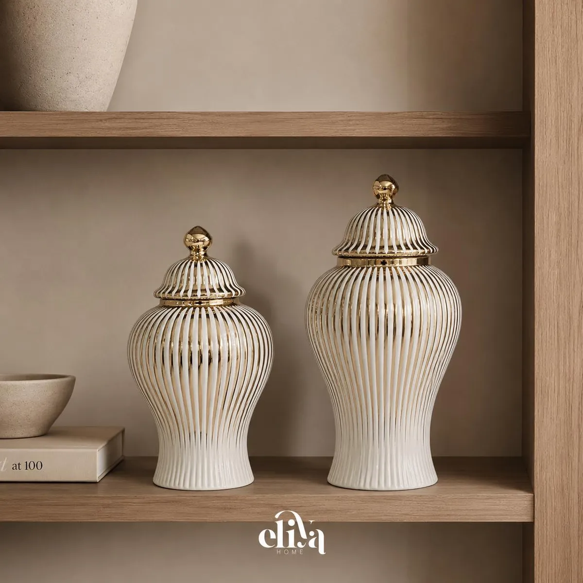 Luxury Porcelain Vase Set (2 Pieces)