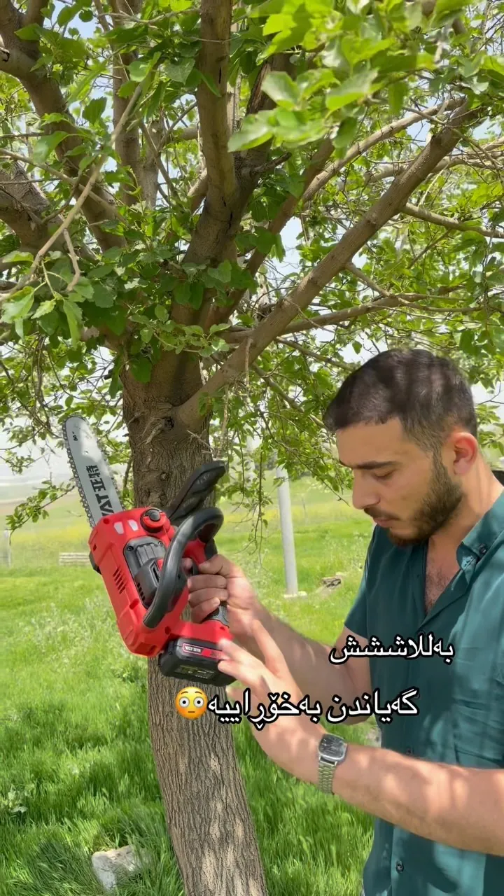 Mini Cordless Electric Chainsaw