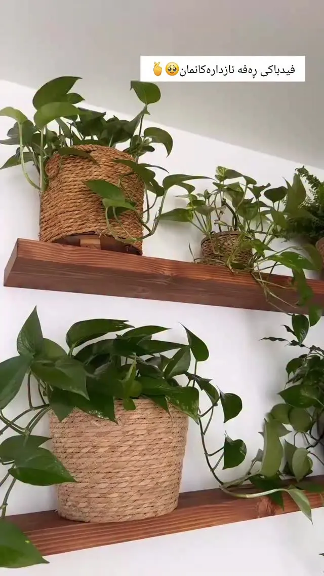 Natural Wood Floating Shelves