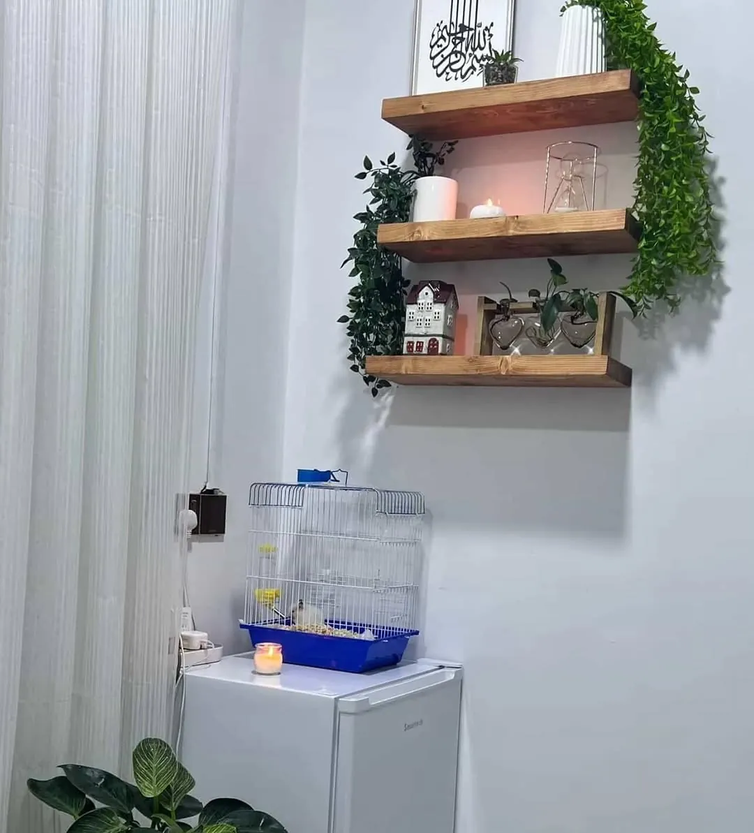 Natural Wood Wall Shelves