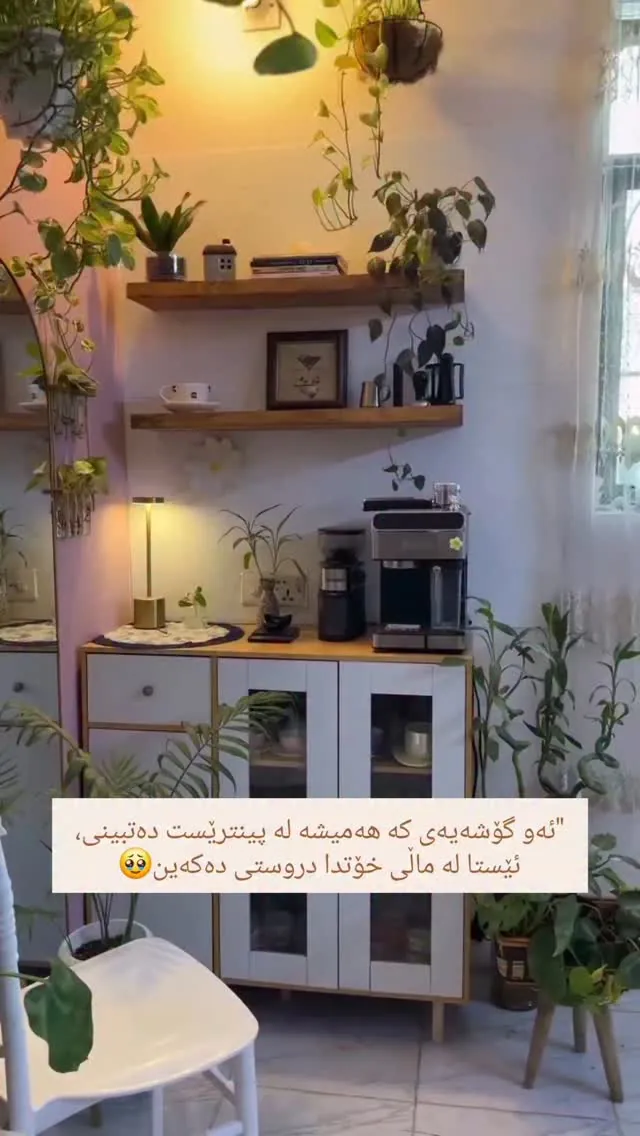 Custom Natural Wood Pipe Shelves