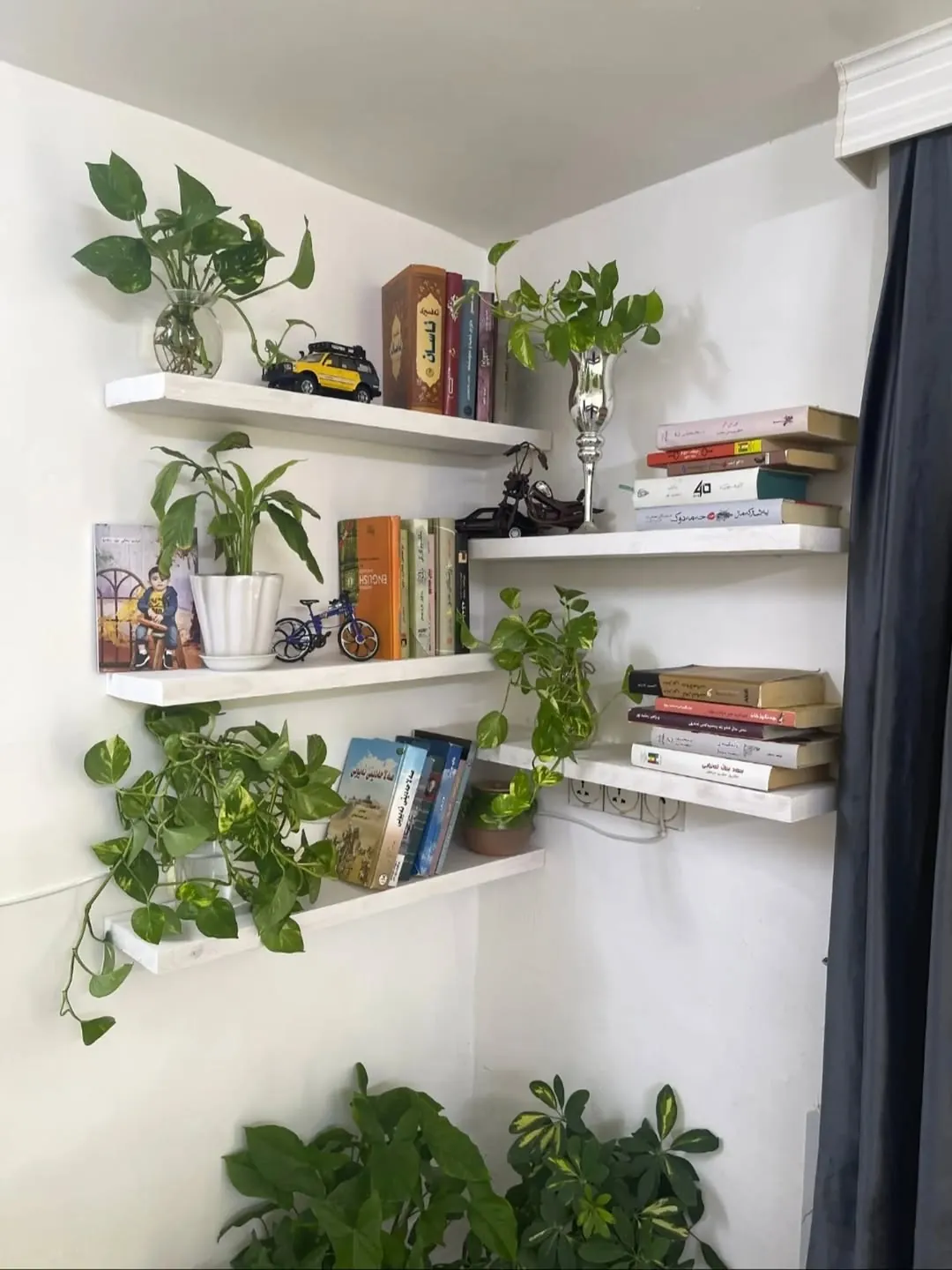 Custom Natural Wood Wall Shelves