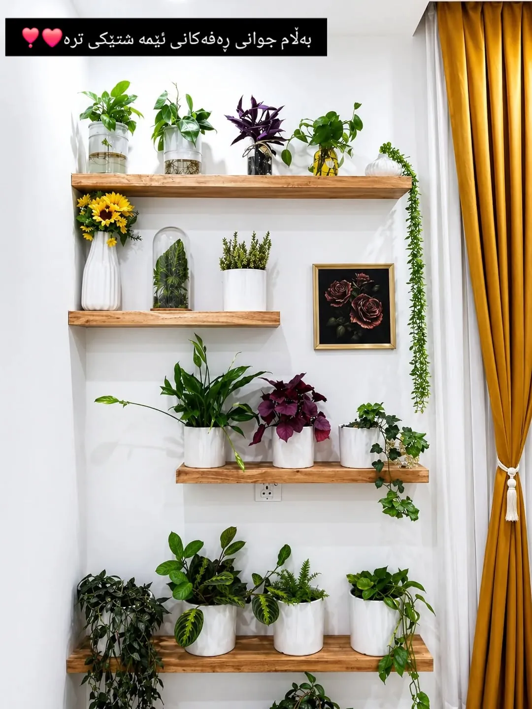 Natural Wood Wall Shelves