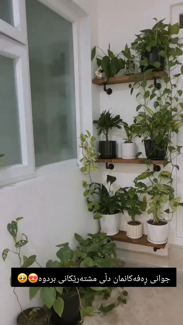 Decorative Wooden Wall Shelves