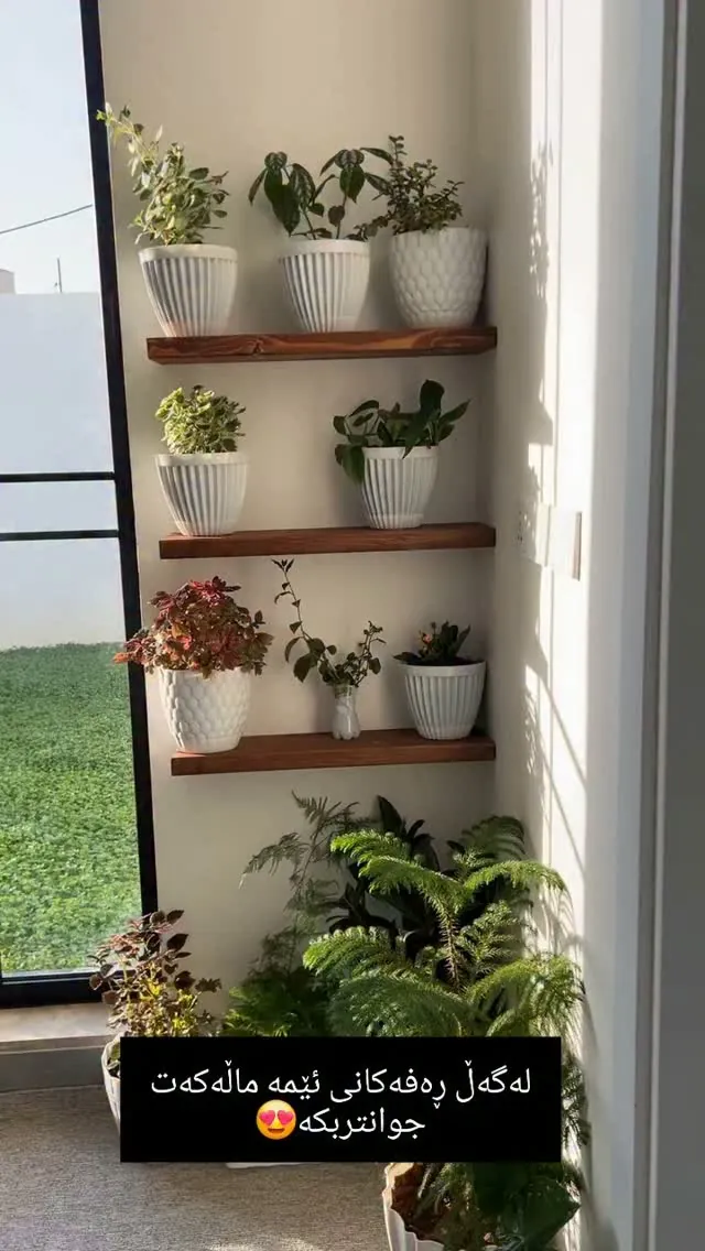 Wooden Decorative Wall Shelves