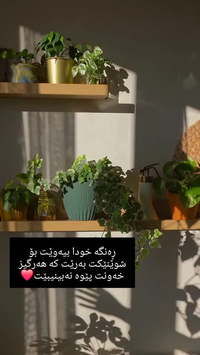Custom Wooden Decorative Shelves