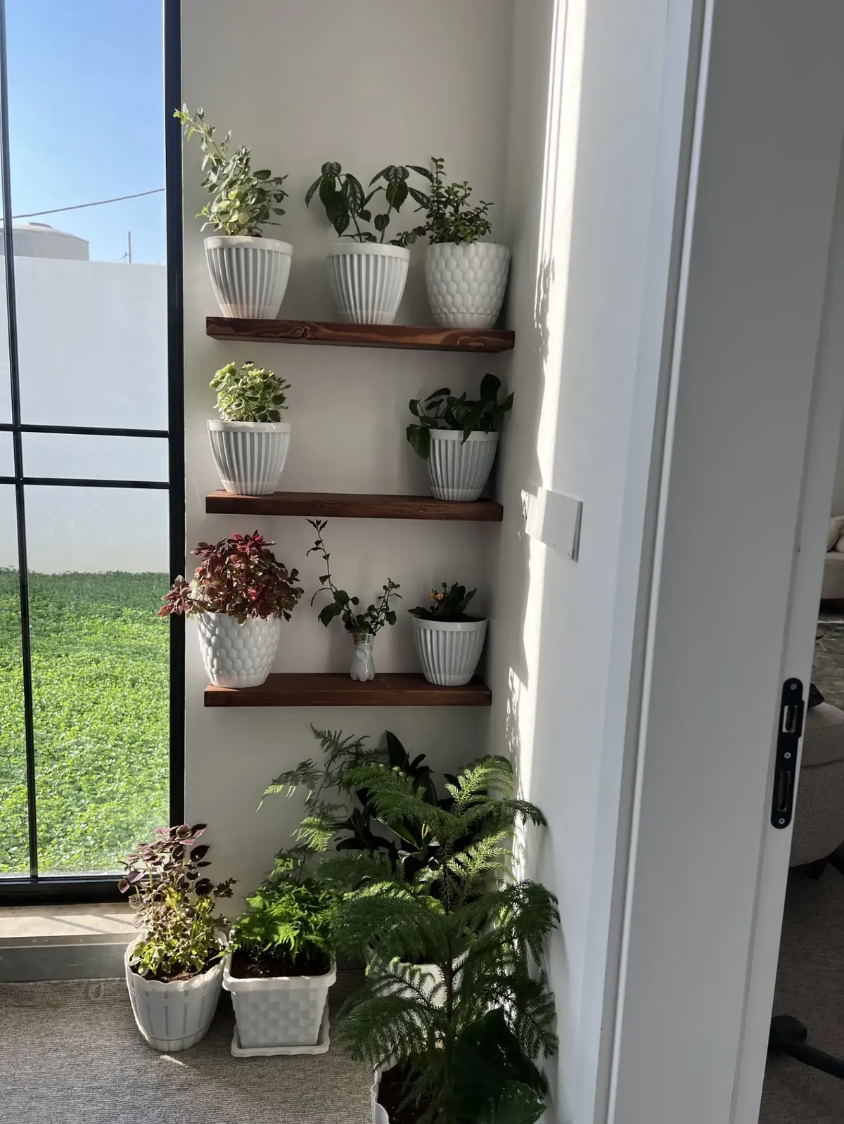 Natural Wood Decorative Shelves
