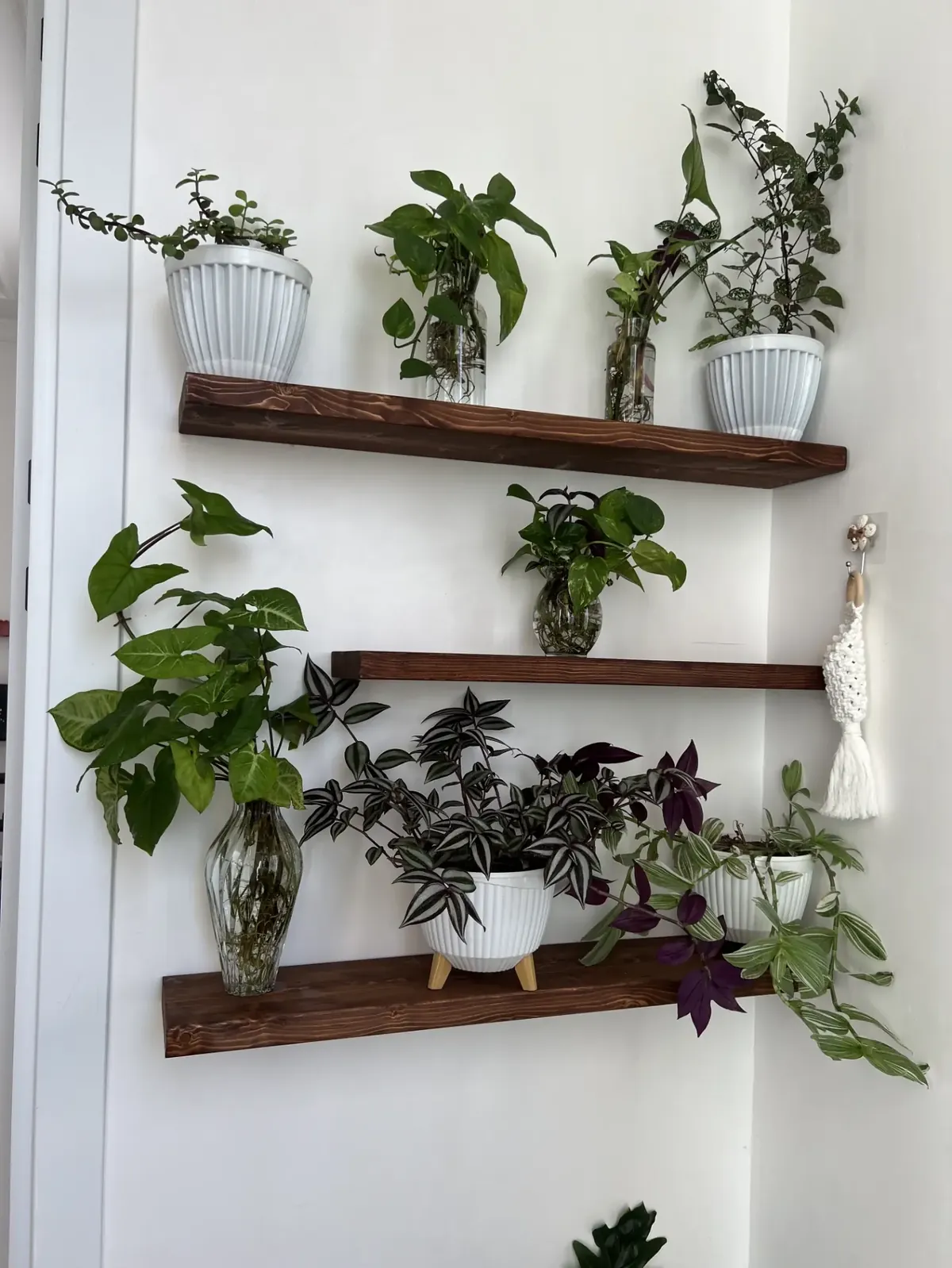 Natural Wood Decorative Shelves