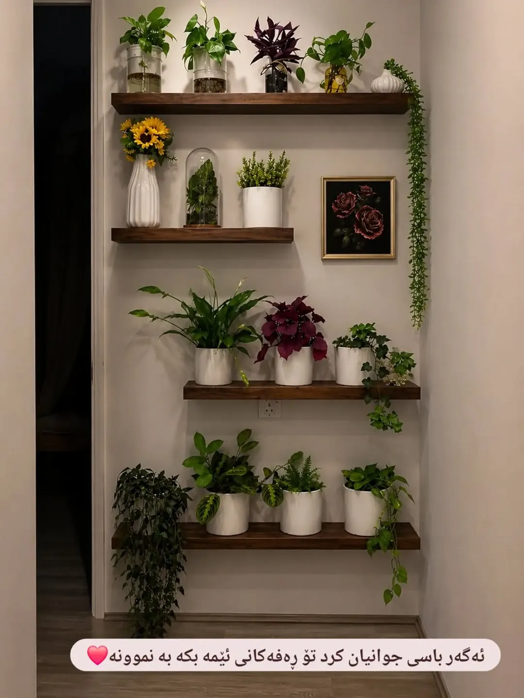 Natural Wood Decorative Wall Shelves