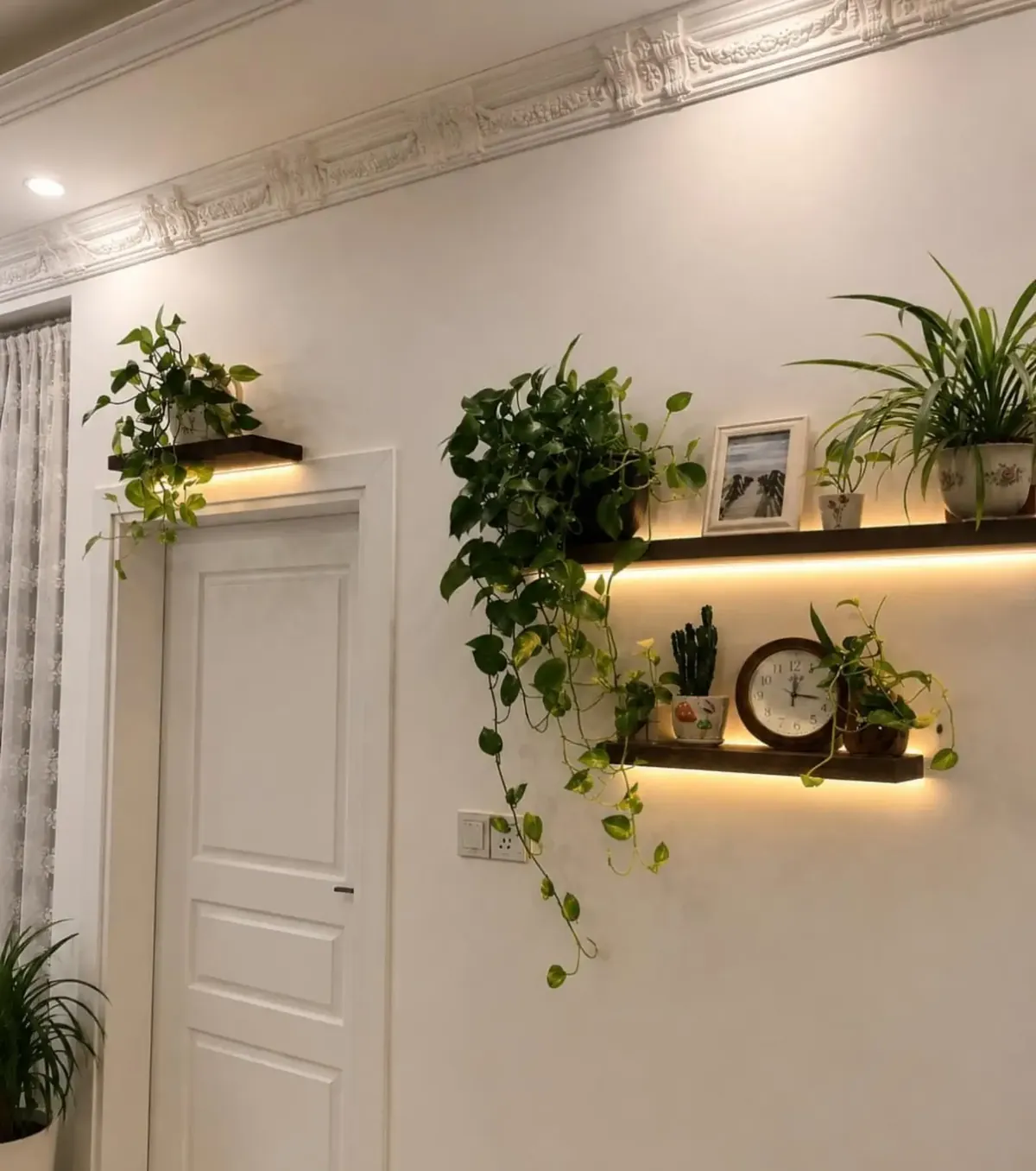 Custom Natural Wood Decorative Shelves