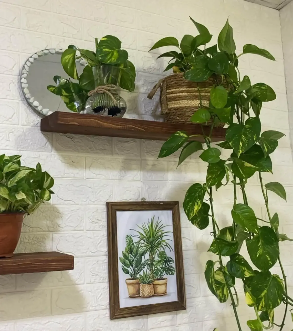 Custom Natural Wood Decorative Shelves