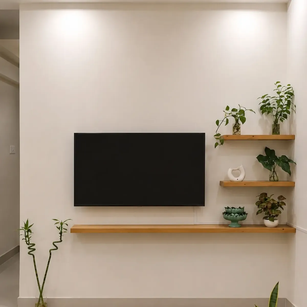 Decorative Wooden Shelves