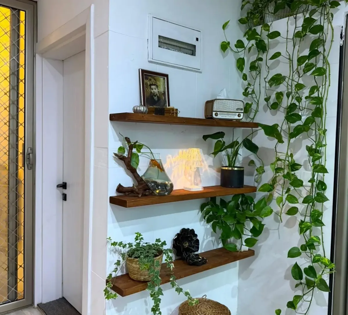Natural Wood Decorative Shelves
