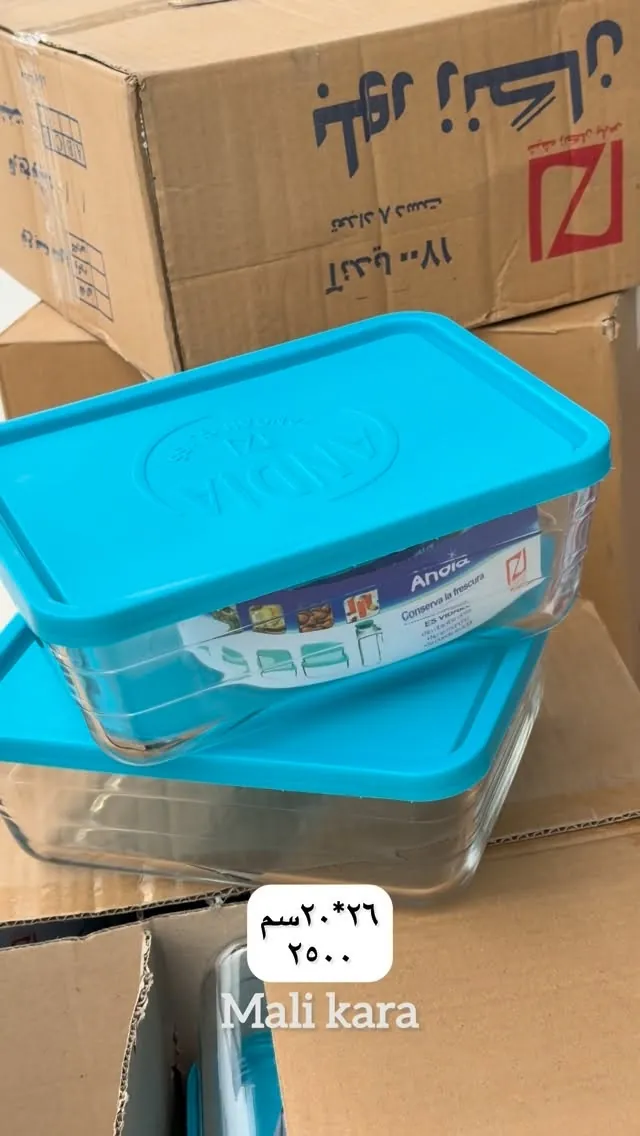 Anora Glass Food Storage Container 26x20cm