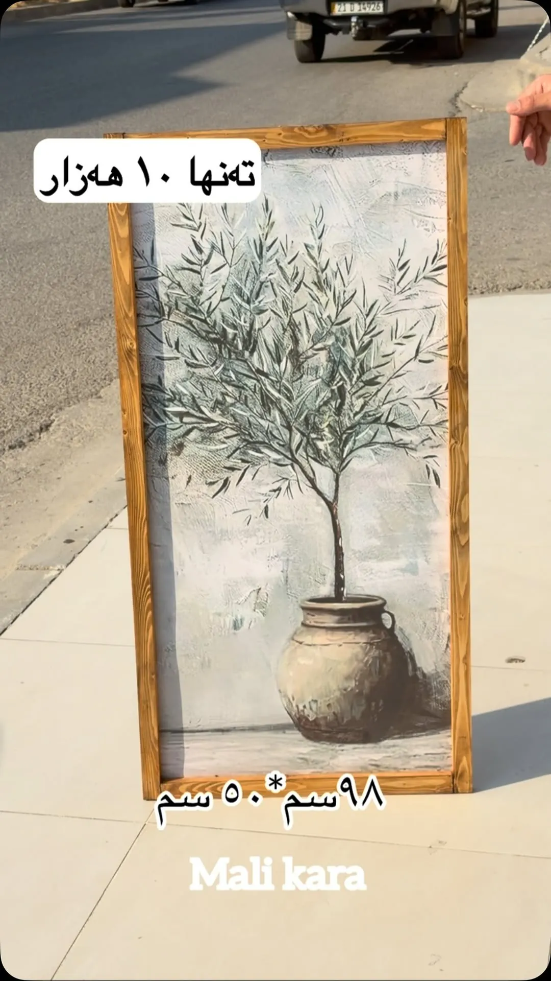 Olive Tree Painting in Wooden Frame