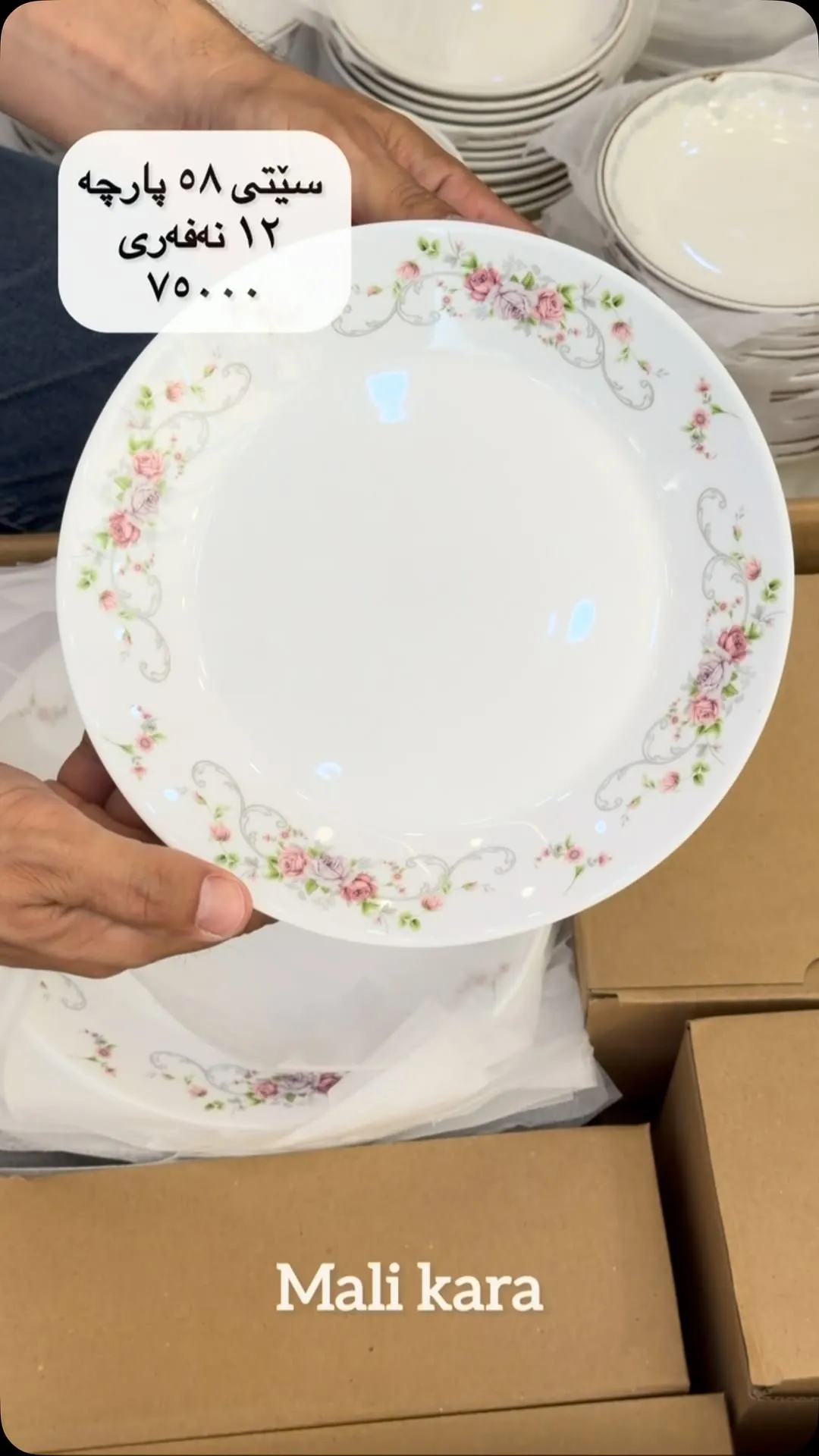 58-Piece Dinnerware Set