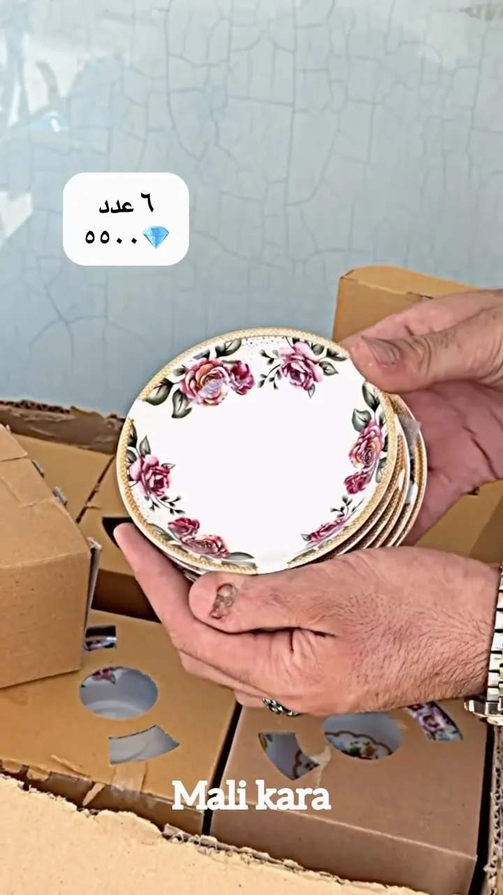 Floral Pattern Plates (Set of 6)