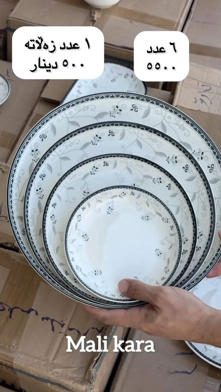 Dinnerware Plate Set