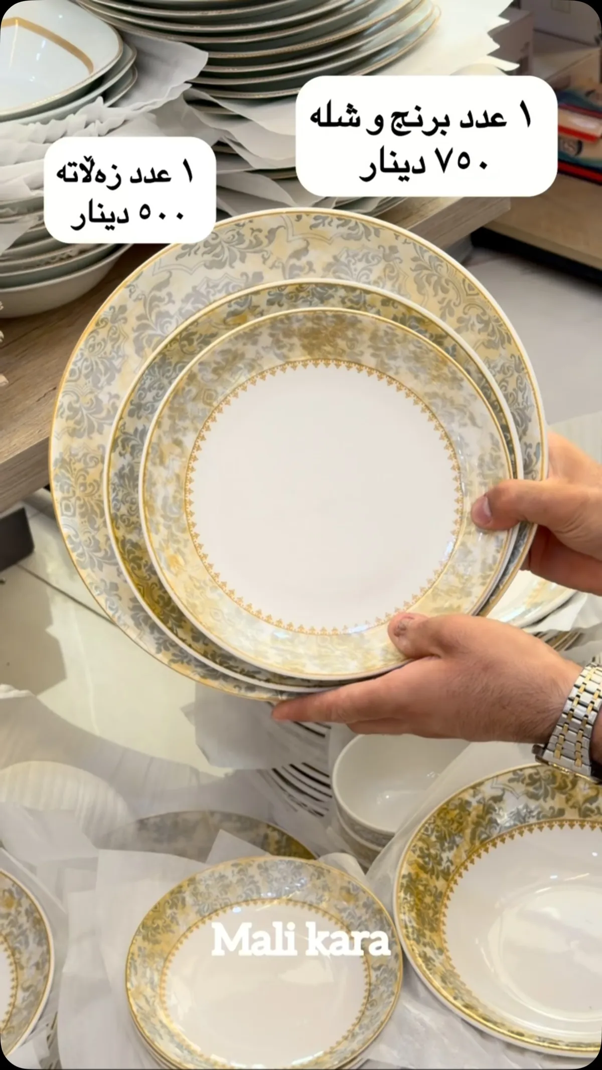 Dinnerware Plates Set