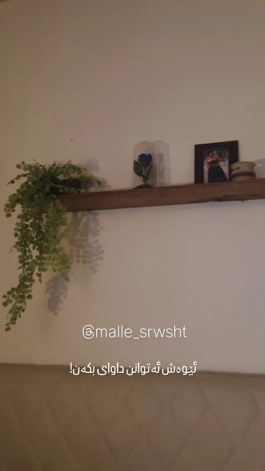 Handmade Natural Wood Shelf