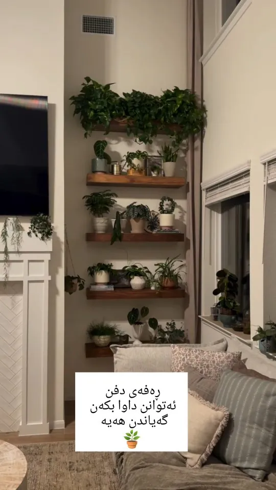 Wooden Wall Shelves