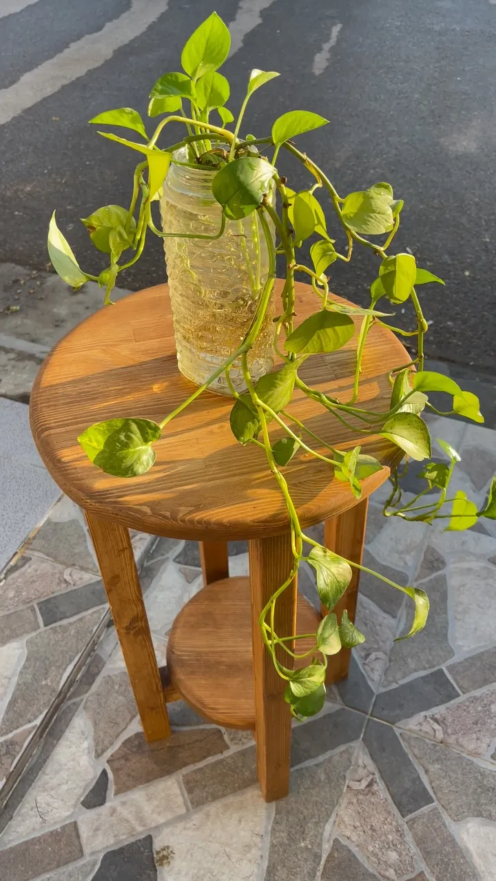 Pine Wood Side Table