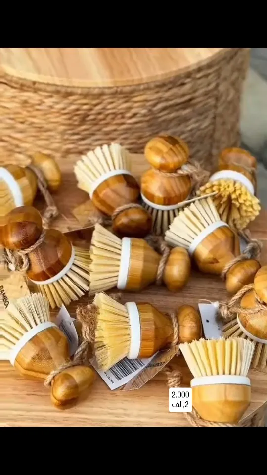 Wooden Dish Brush