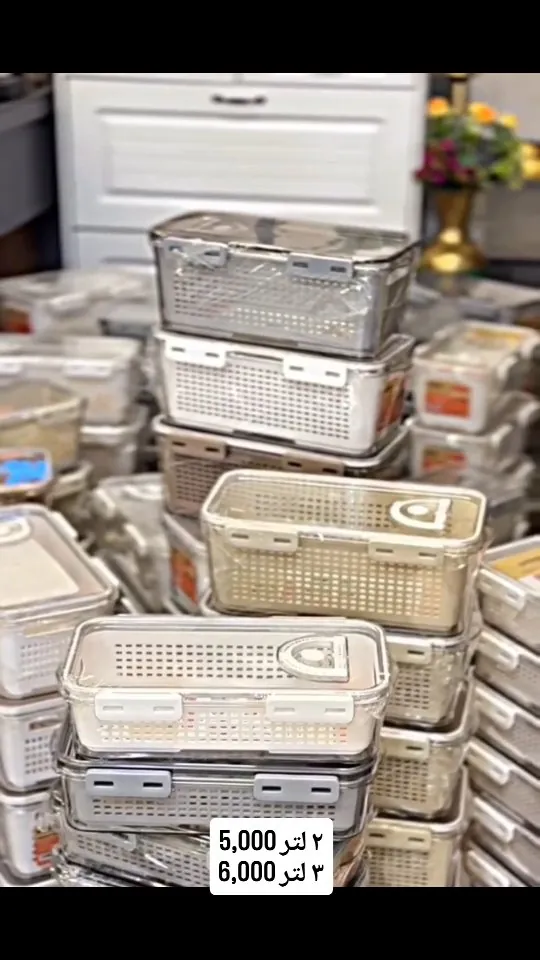 2L and 3L Plastic Storage Baskets with Lids