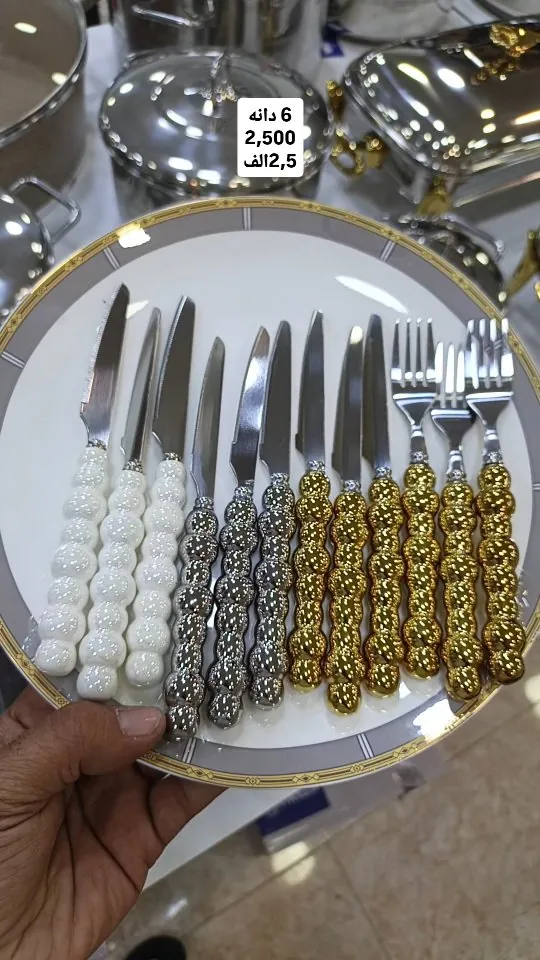 Cutlery Set (6 Pieces)