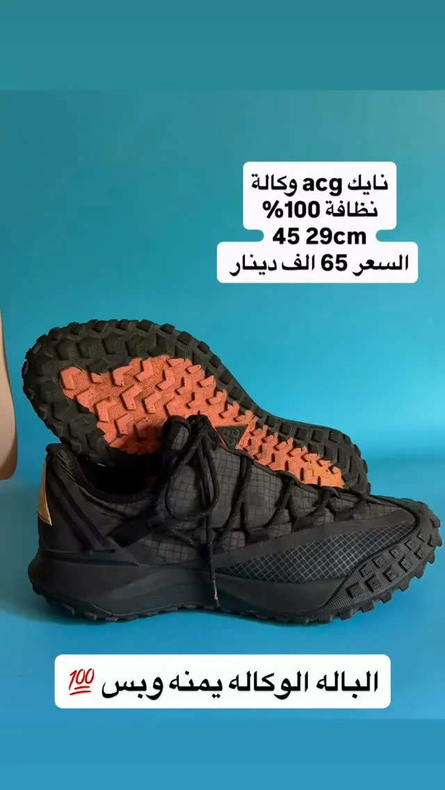 Nike ACG Shoes