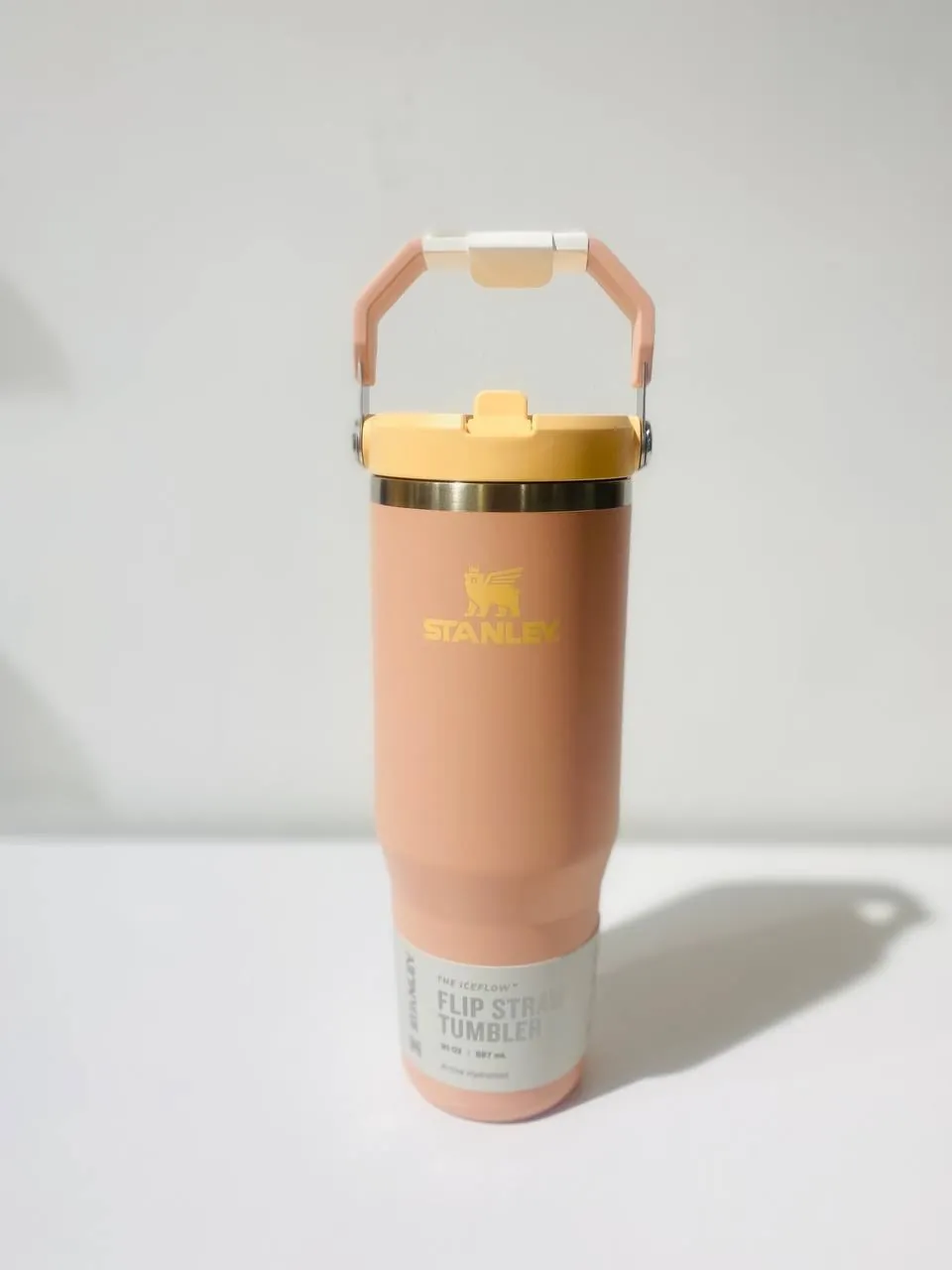 Stanley Quencher Protour Tumbler