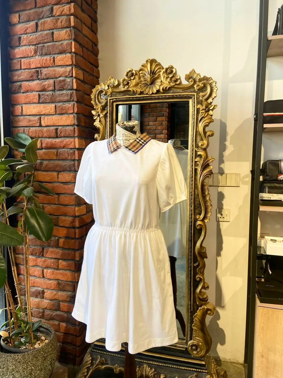 White Collar Dress